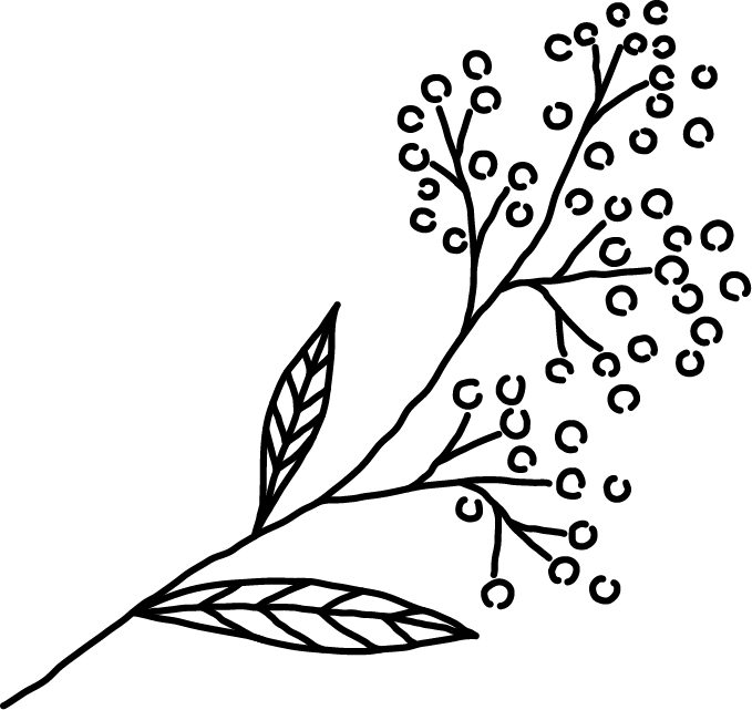 ttl-icon